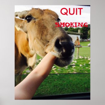 Funny Quit Smoking Poster by Melmo_666 at Zazzle