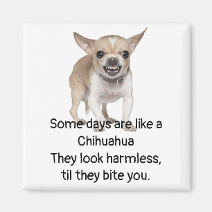 Funny Quote about Life with Chihuahua Dog Magnet