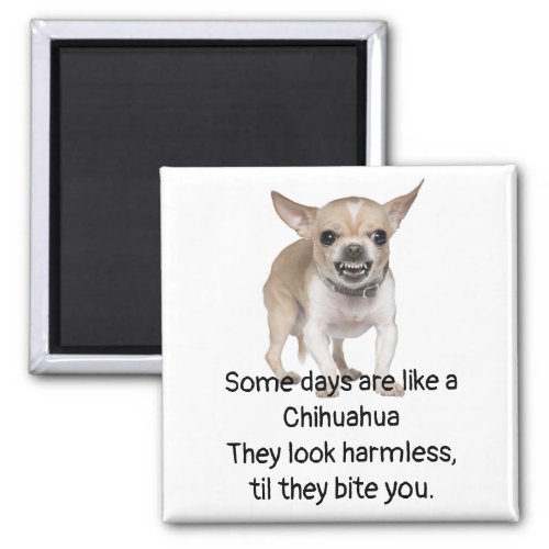 Funny Quote about Life with Chihuahua Dog Magnet