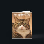 Funny Quote Cat Lovers Custom Photo Birthday Card<br><div class="desc">Funny Quote Pun Cute Cat Lovers Custom photo Birthday Card: Gorgeous tabby cat staring into the camera for the photo. "Have a purrfect day" is heading the front, the text is fully editable, and so is the cat photo, so that you can use your own cat's photo. You may also...</div>