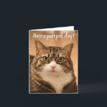 Funny Quote Cat Lovers Custom Photo Birthday Card<br><div class="desc">Funny Quote Pun Cute Cat Lovers Custom photo Birthday Card: Gorgeous tabby cat staring into the camera for the photo. "Have a purrfect day" is heading the front, the text is fully editable, and so is the cat photo, so that you can use your own cat's photo. You may also...</div>