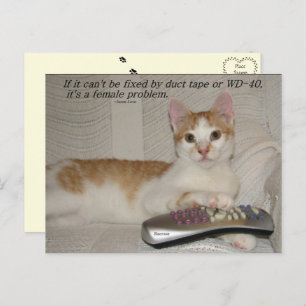 Funny Quote Cat Postcard 