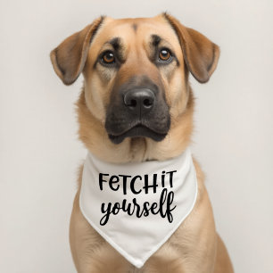 Funny Quote Dog Pet Bandana Collar