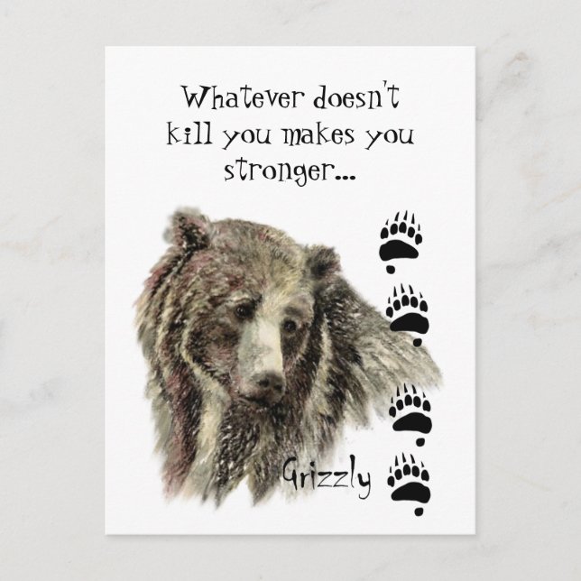 Funny Quote Grizzly Bear Kill you Humor Postcard (Front)
