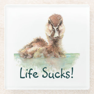 Funny Quote, Life Sucks, Angry Duck, Bird   Square Glass Coaster