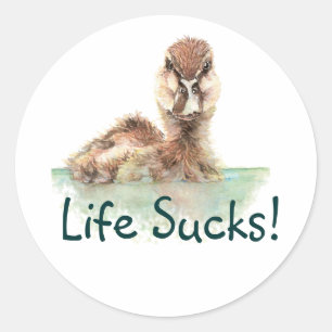 Funny Quote, Life Sucks, Angry Duck, Bird Square S Classic Round Sticker