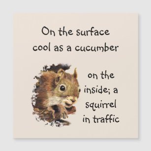 Funny Squirrel Sayings Magnets | Zazzle