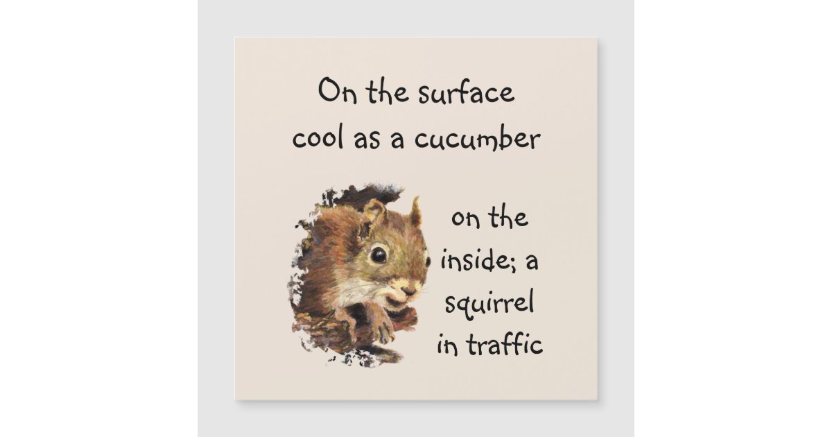 Funny Quote Surface Cool Inside Squirrel | Zazzle
