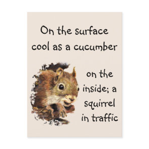 Funny Quote Surface Cool Inside Squirrel  Postcard