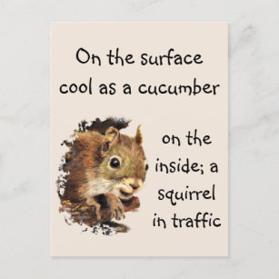 Funny Quote Surface Cool Inside Squirrel  Postcard