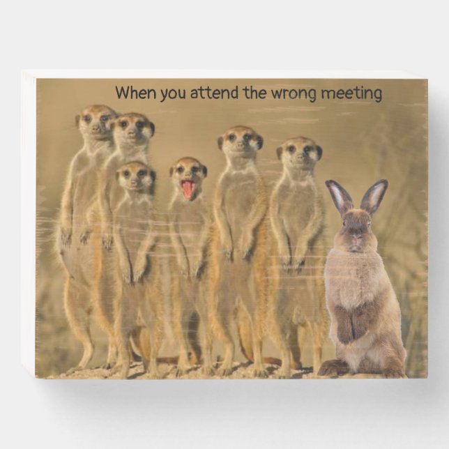 Funny Rabbit Meerkat Wooden Plaque (Front Horizontal)