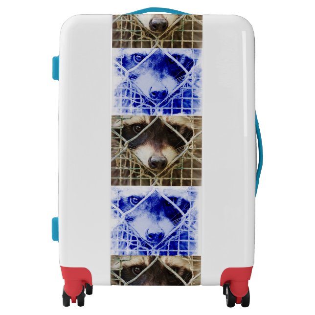 funny raccon on suitcases (Front)