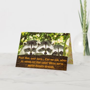 Funny Raccoon Birthday Card 2