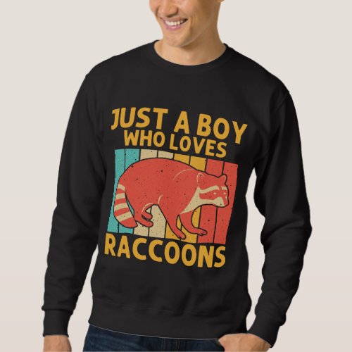 Funny Raccoon Design For Boys Kids Men Raccoon Lov Sweatshirt