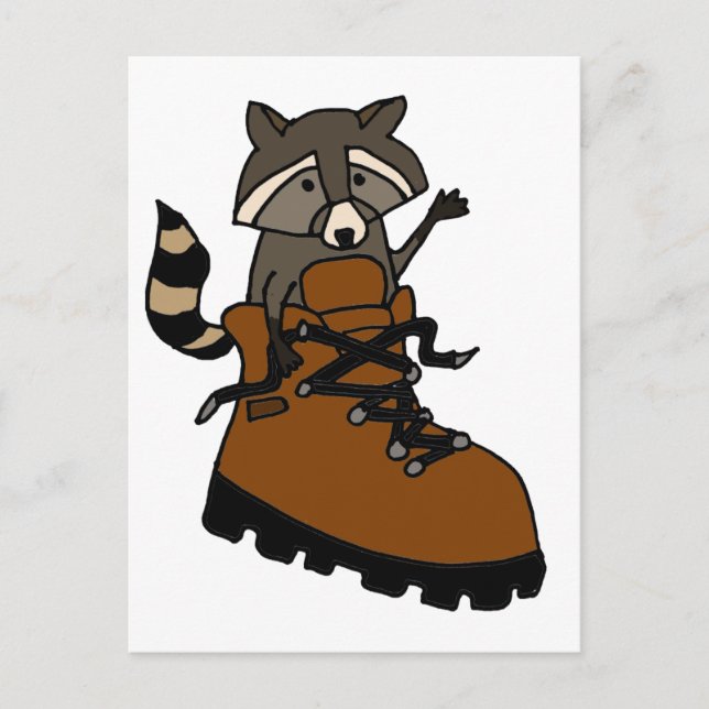 Funny Raccoon in Hiking Boot Postcard (Front)