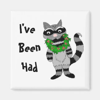 Funny Raccoon Magnet