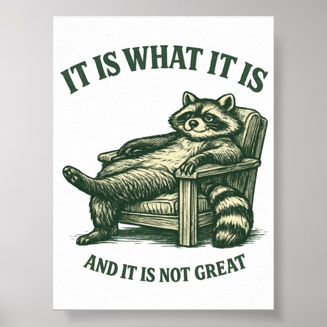 Funny Raccoon Meme Printable Digital Download Poster (Front)