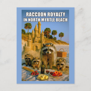 Funny Raccoon Royalty in North Myrtle Beach Postcard