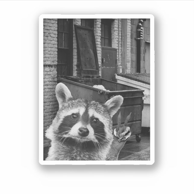Funny Raccoon Selfie Raccoon Funny Raccoon Sticker (Front)