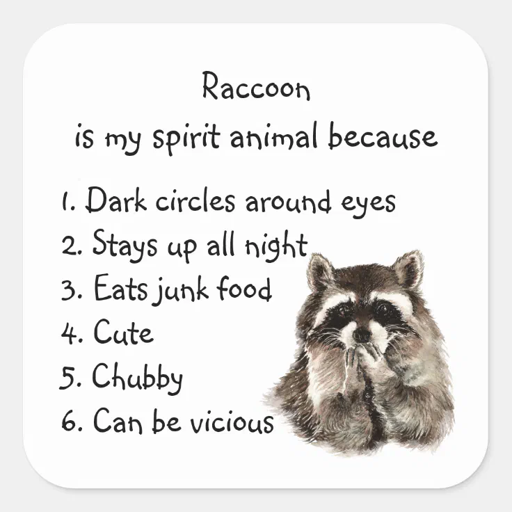 Funny Raccoon Spirit Animal Humor Square Sticker | Zazzle