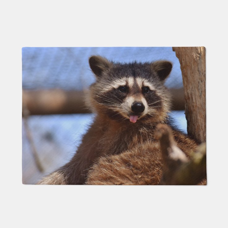 Funny Raccoon Sticking It's Tongue Out Doormat | Zazzle