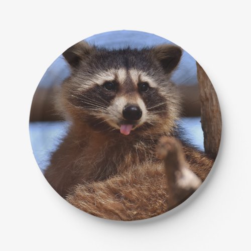 Funny Raccoon Sticking Its Tongue Out Paper Plates
