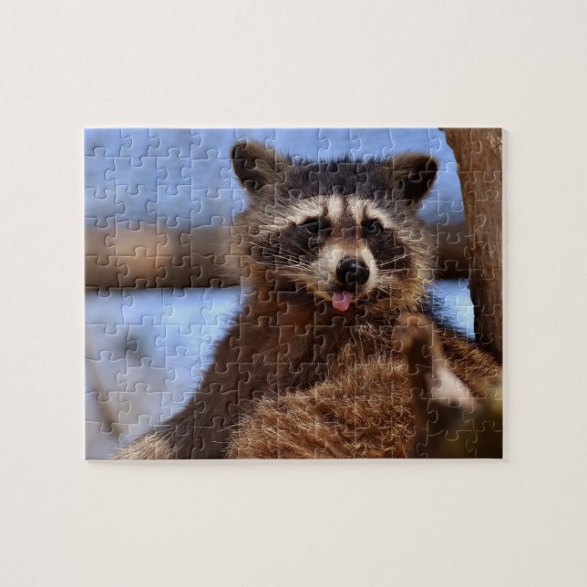 Funny Raccoon Sticking It's Tongue Out Photo Jigsaw Puzzle (Horizontal)