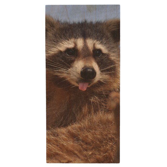 Funny Raccoon Sticking It's Tongue Out Wood USB Flash Drive (Front Vertical)