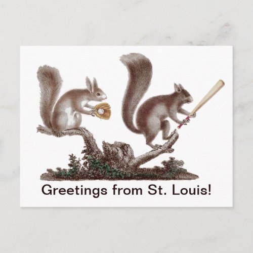 Funny Rally Squirrel Greetings from St Louis Postcard