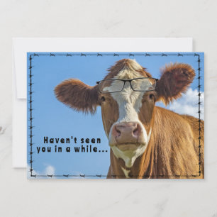 Funny Ranch Farm Country Western Cow Glasses Holiday Card