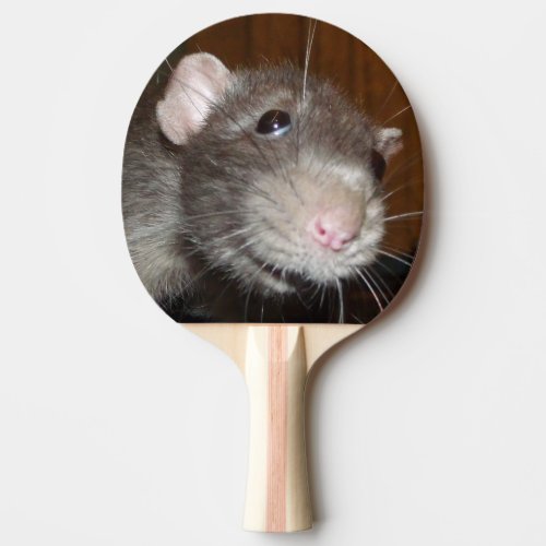 funny rat face spiral ping pong paddle