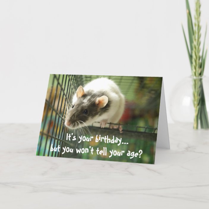 Funny Rat Photo Birthday Card Zazzle Com