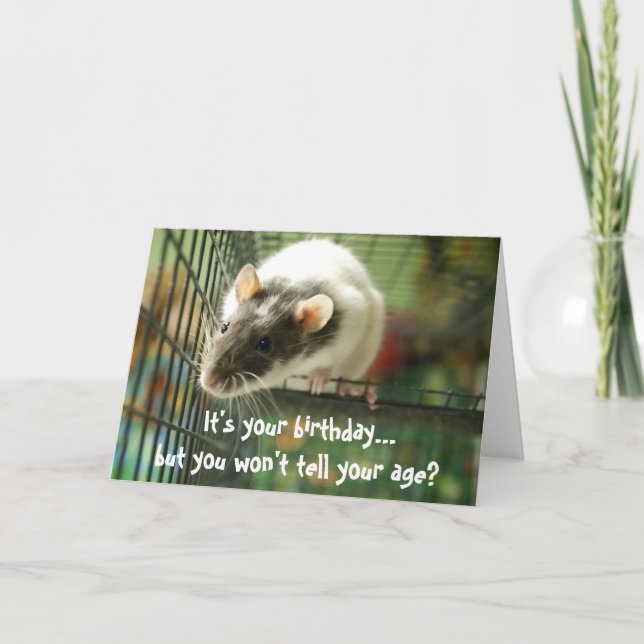 Funny rat photo birthday card (Front)