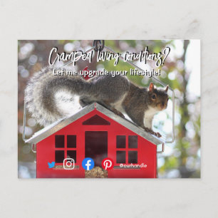 funny real estate cramped living squirrel house postcard