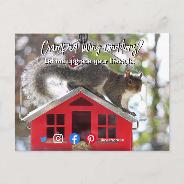 funny real estate cramped living squirrel house postcard (Front)