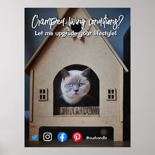 funny real estate postcard cramped living cat post poster