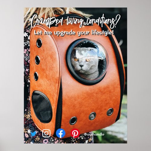 funny real estate postcard cramped living cat poster