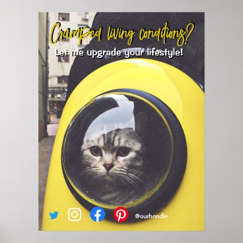 funny real estate postcard cramped living cat poster