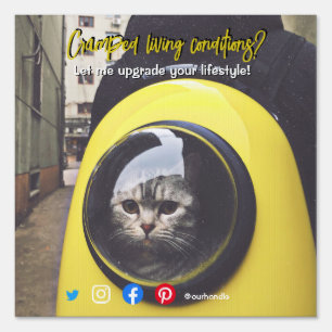 funny real estate postcard cramped living cat sign