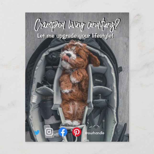 funny real estate postcard cramped living dog flyer (Front)