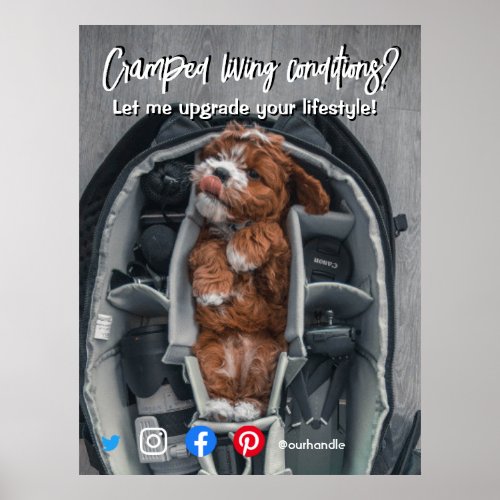 funny real estate postcard cramped living dog poster