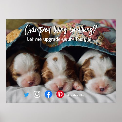 funny real estate postcard cramped living dog poster