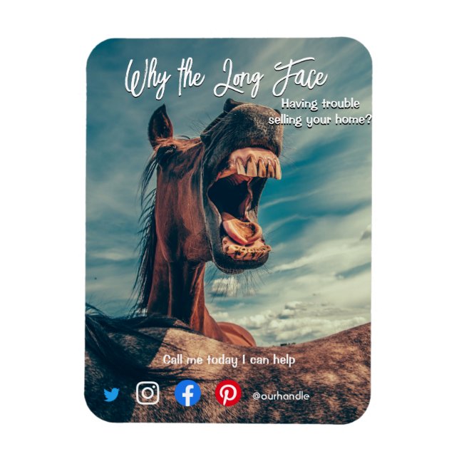 funny real estate postcard long face horse magnet (Vertical)