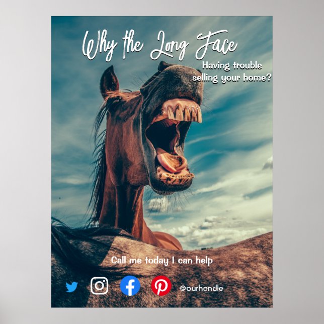 funny real estate postcard long face horse poster (Front)