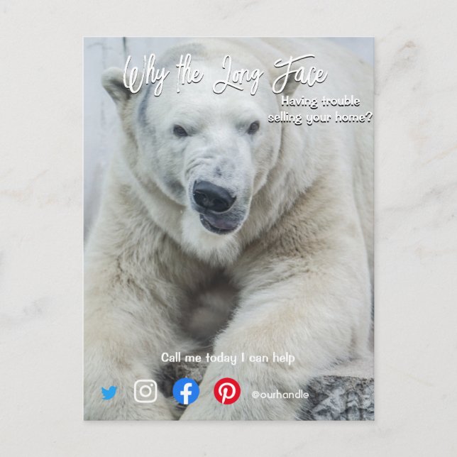 funny real estate postcard long face white bear (Front)