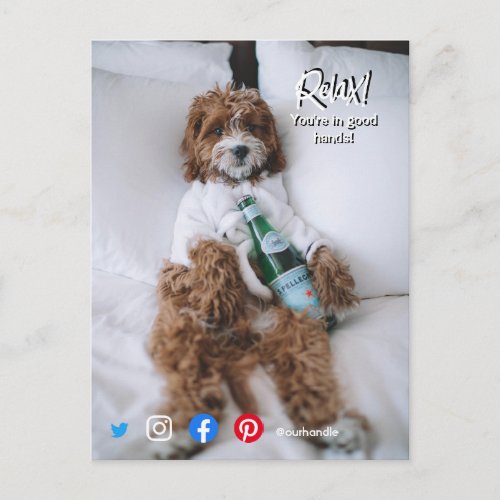 funny real estate postcard relax bed dog
