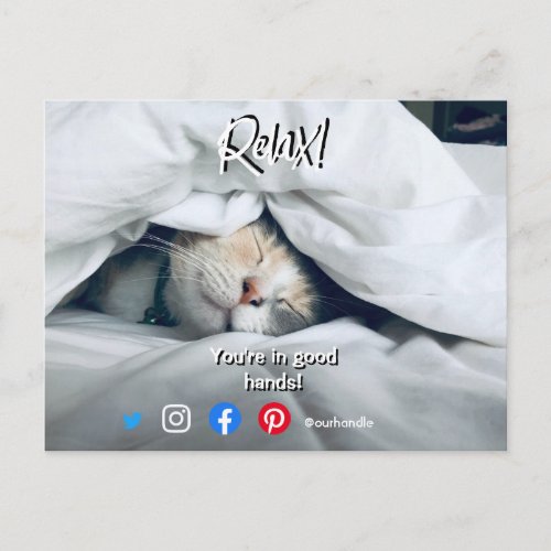 funny real estate postcard relaxed cat