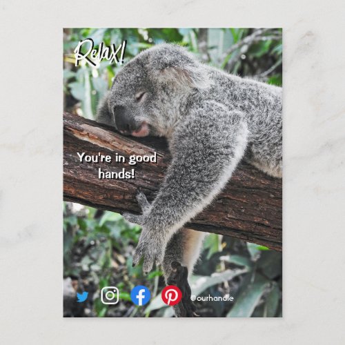funny real estate postcard relaxed koala