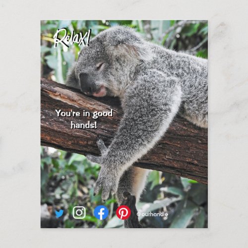 funny real estate postcard relaxed koala flyer