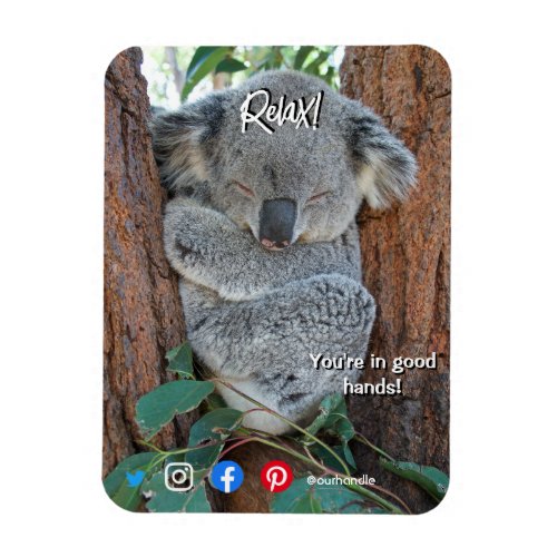 funny real estate postcard relaxed koala magnet